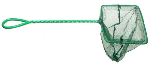 SALABRE VERDE 20 x 15 cm. 