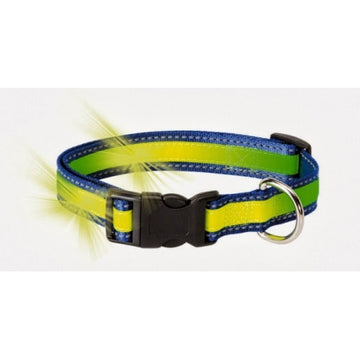 Collar Fosforescente Reflectante 25x400/600