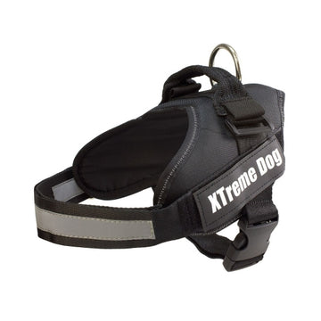Arnes Xtreme Dog Rojo M (61-81cm)