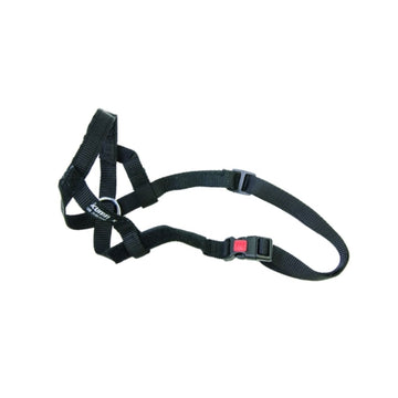 Cinta Hocico Dogalter XL