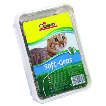 Hierba Gato Vitaminada con Tgos 100gr. Gimpet