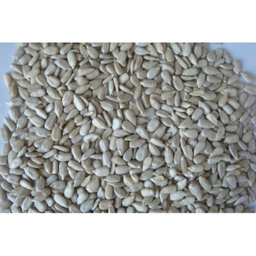 Pipas Peladas 500 gramos. Tarrina Prodac