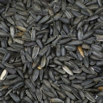 Pipas Negras 15 kg. Prodac