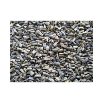 ESCAROLA VINCI 20 KG.