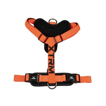 Arnes X-Trm Cronos Neon Flash. Negro