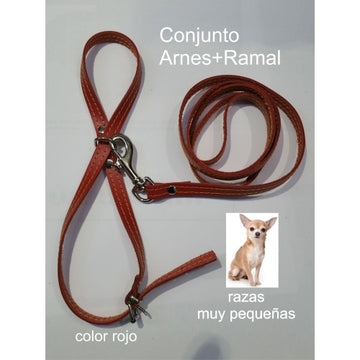 Arnes y Amarre Razas Pequeñas. Azul