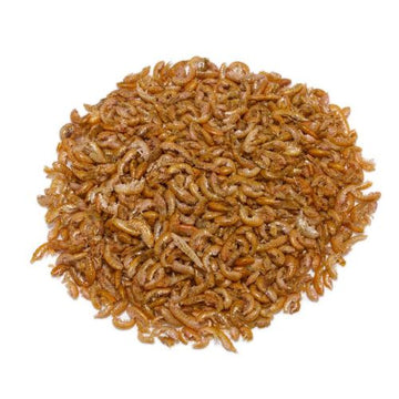 GAMMARUS GRANEL. Precio/Kilo 