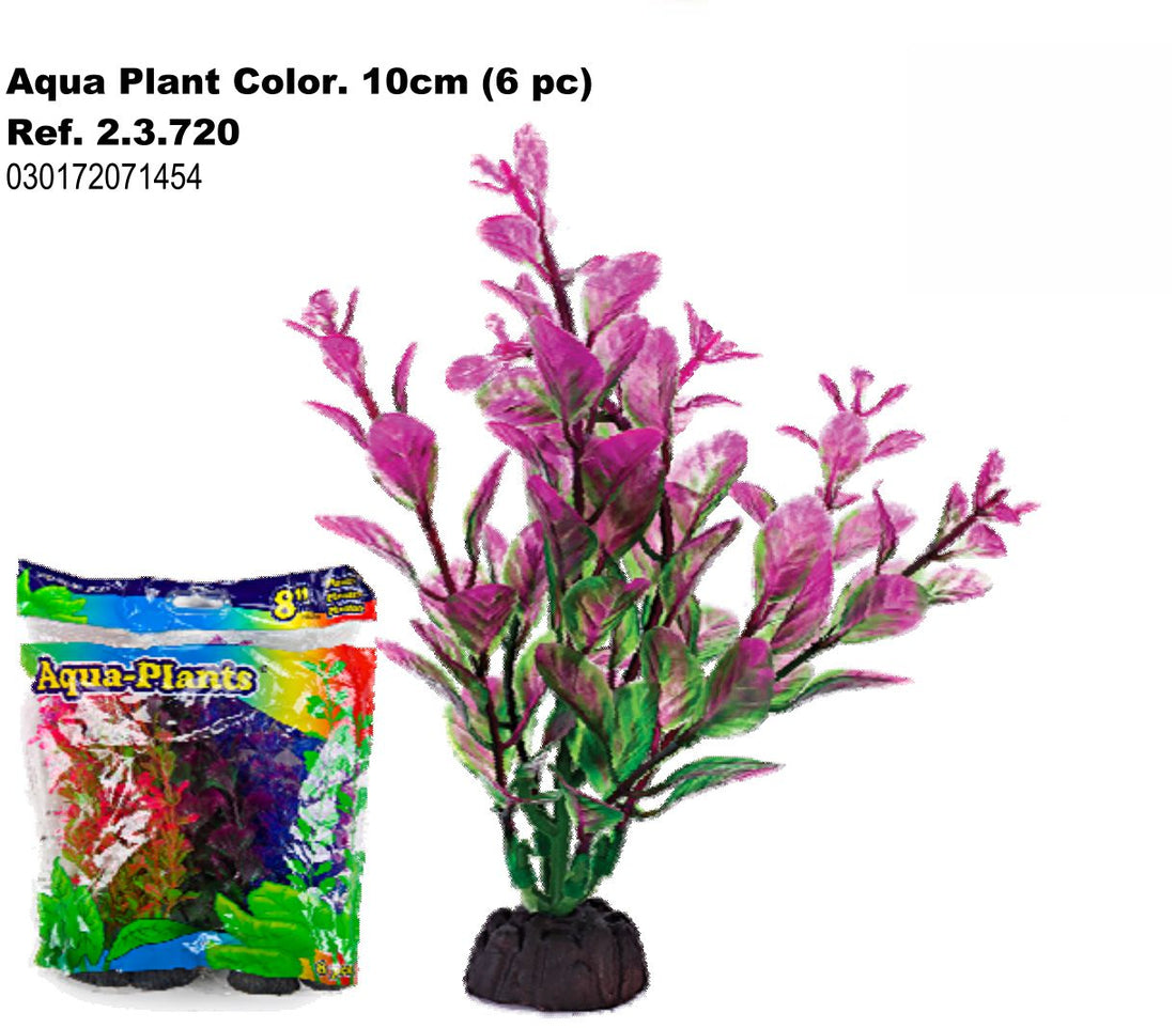PLANTA AQUA COLOR 10cm. 6 piezas 