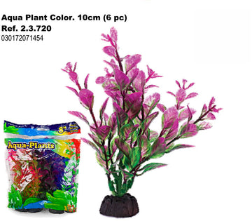 Planta Aqua Color 10cm. 6 piezas