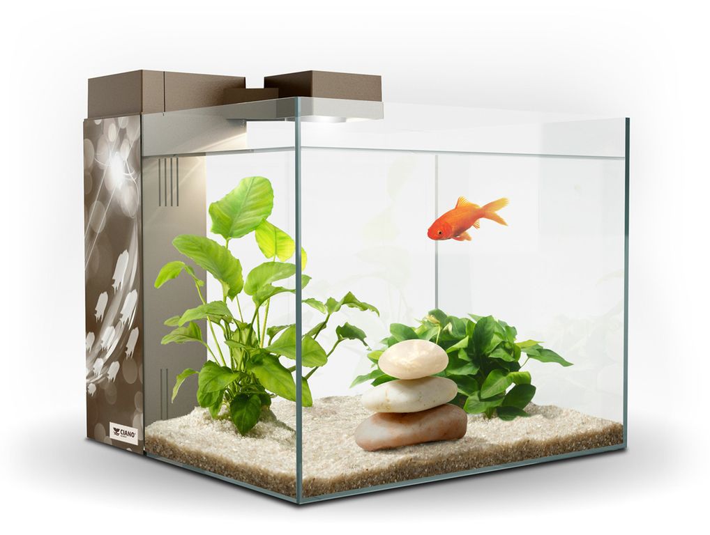 ACUARIO ZENEO 30 ECLAT