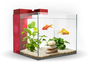 ACUARIO ZENEO 30 JUNGLE