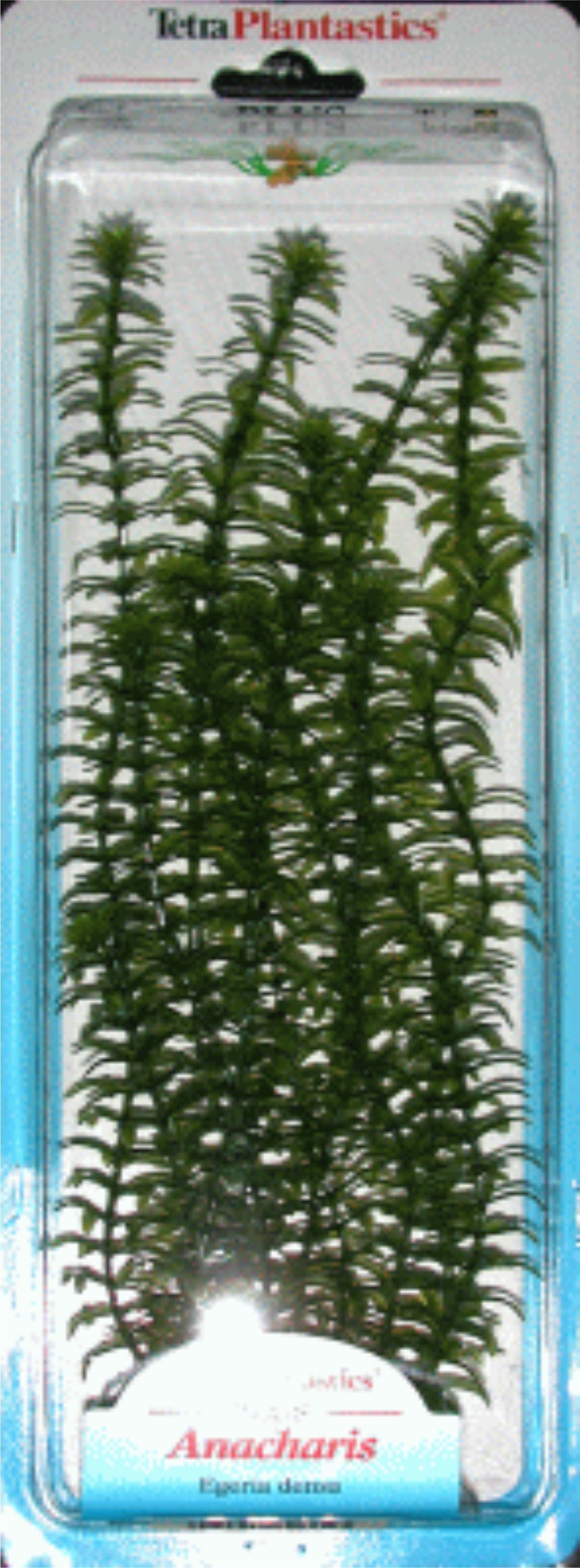 PLANTA ANACHARIS PLUS,20-25 CM. 