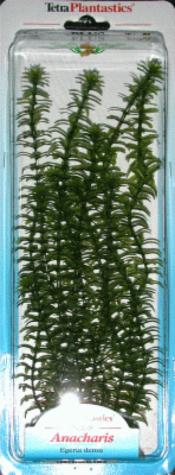 PLANTA ANACHARIS PLUS,20-25 CM. 
