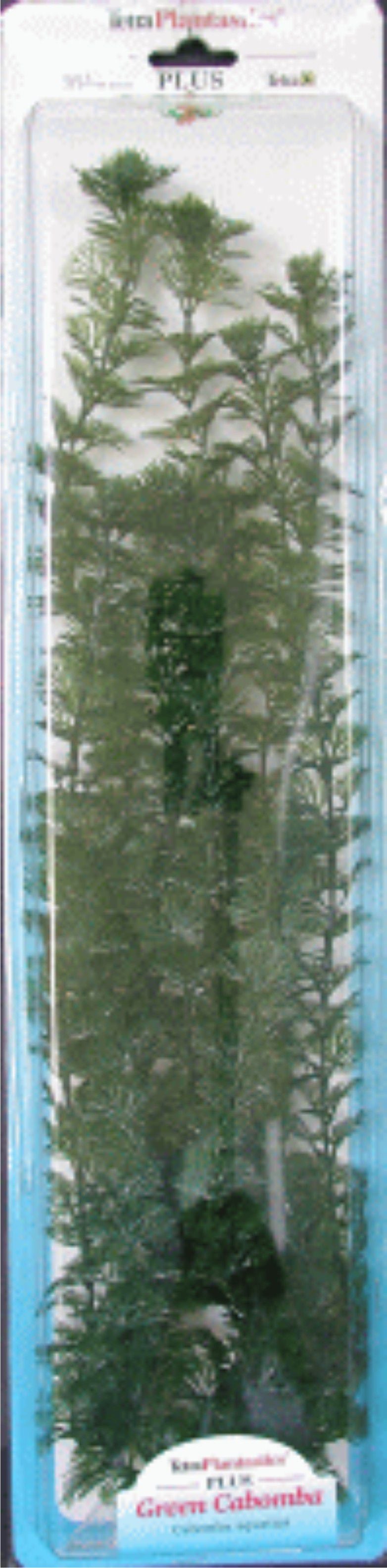 PLANTA CABOMBA PLUS (28-33CM) L 