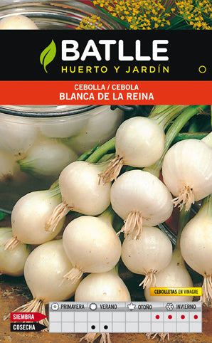 CEBOLLA BLANCA DE LA REINA SOBRE