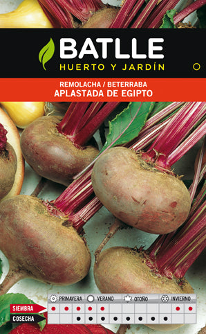 REMOLACHA MESA APLASTADA EGIPTO