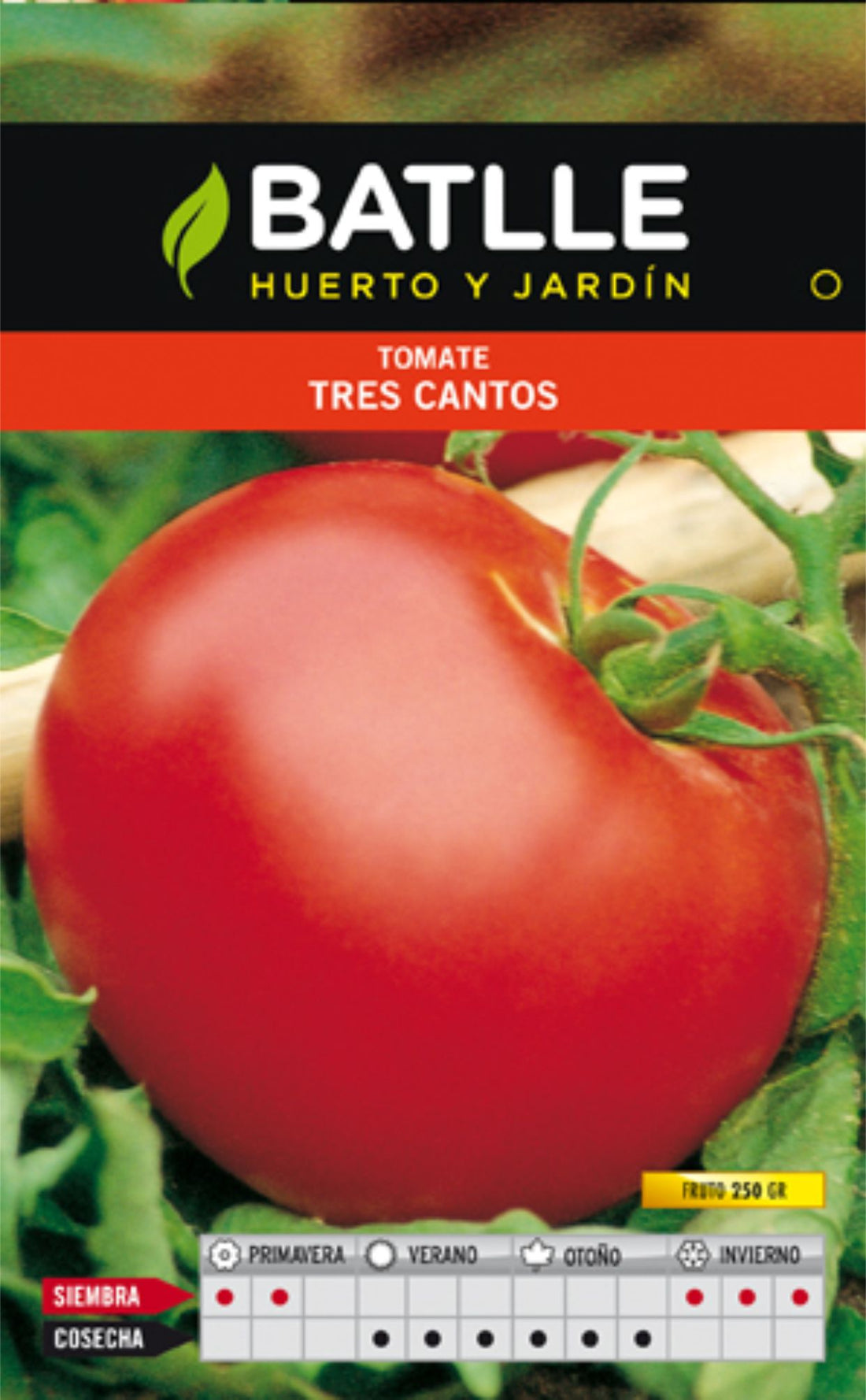 TOMATE TRES CANTOS SOBRE