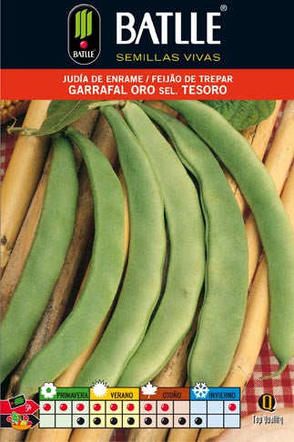 JUDIA GARRAFAL ORO 250 GR.ENRAME