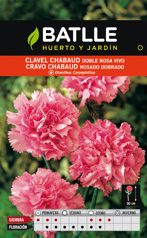 CLAVEL CHABAUD ROSA
