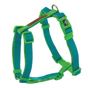 Arnes X-Trm Doble Premium Turquesa-Verde 35-46cm X 1.5cm