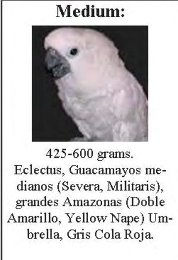 SUN PARROTS ARNES MEDIUM LOROS