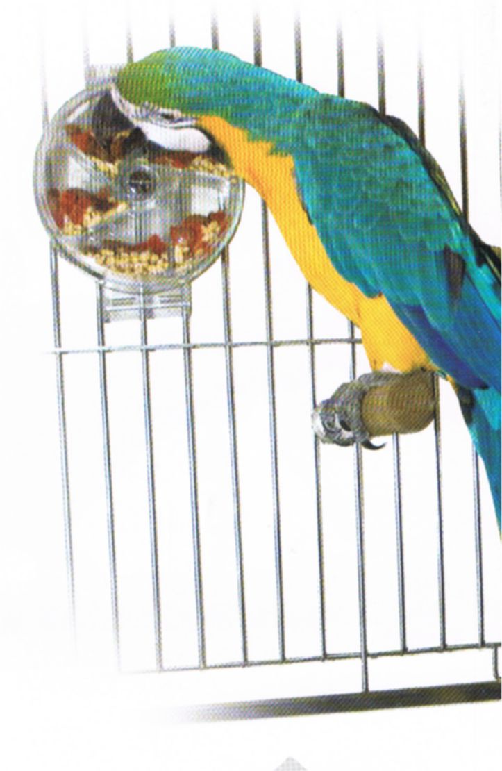 SUN PARROTS LA RUEDA INTERACTIVA