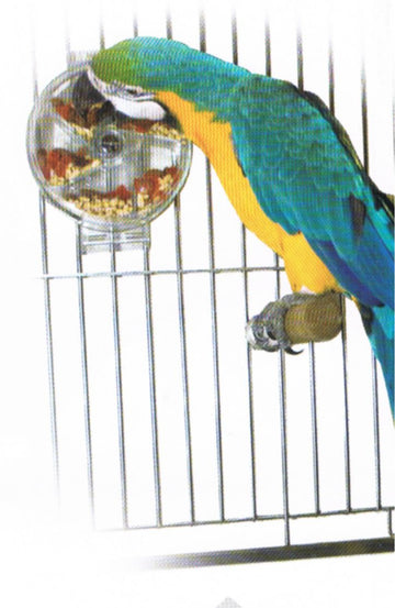 SUN PARROTS LA RUEDA INTERACTIVA