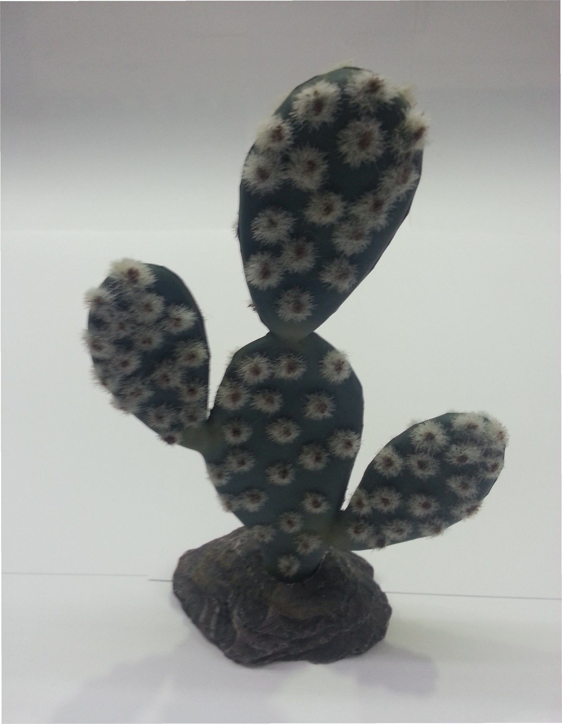 CACTUS SAHARA 19CM.