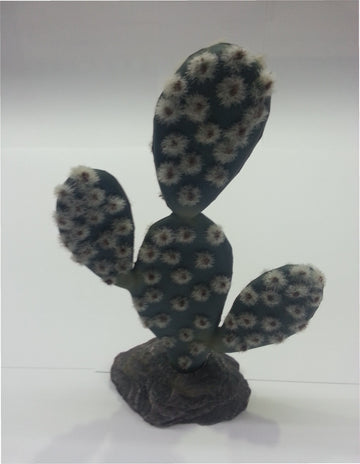 CACTUS SAHARA 19CM.